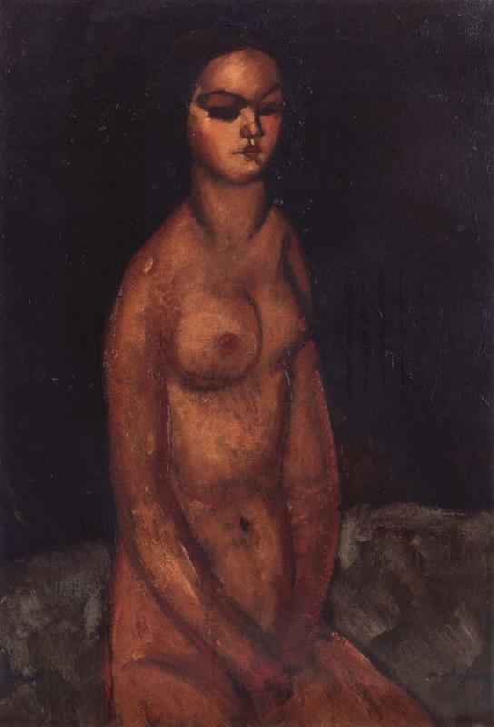 Amedeo Modigliani Nudo Seduto Sweden oil painting art